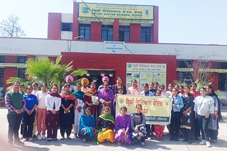 Experiential Learning On Agribusiness at KVK Ropar